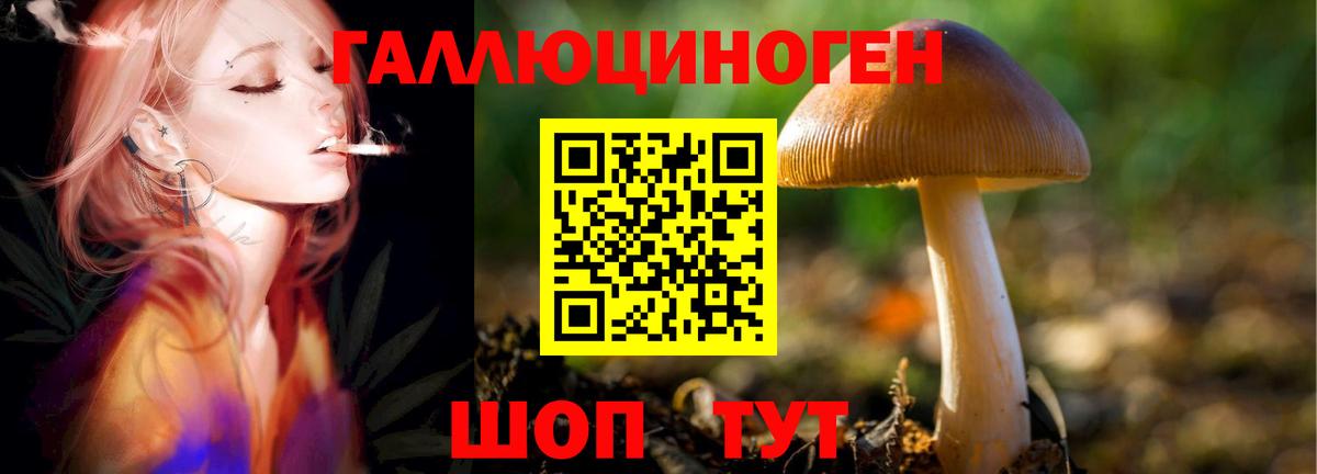 купить наркоту  Галлюциногенные грибы ЛСД  Вход с VPN  Красноуфимск 